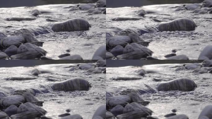 河流岩石上水流的细节照片