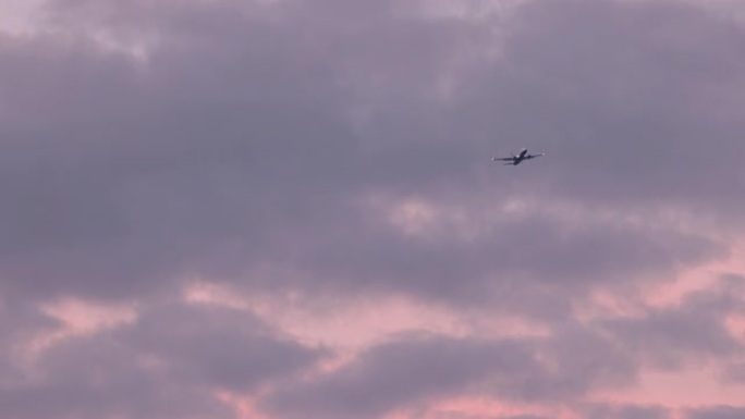 罗马天空中的八哥群: 鸟击危险