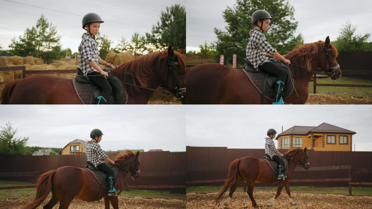 小女孩骑师在牧场骑马，在马术俱乐部训练和练习骑马