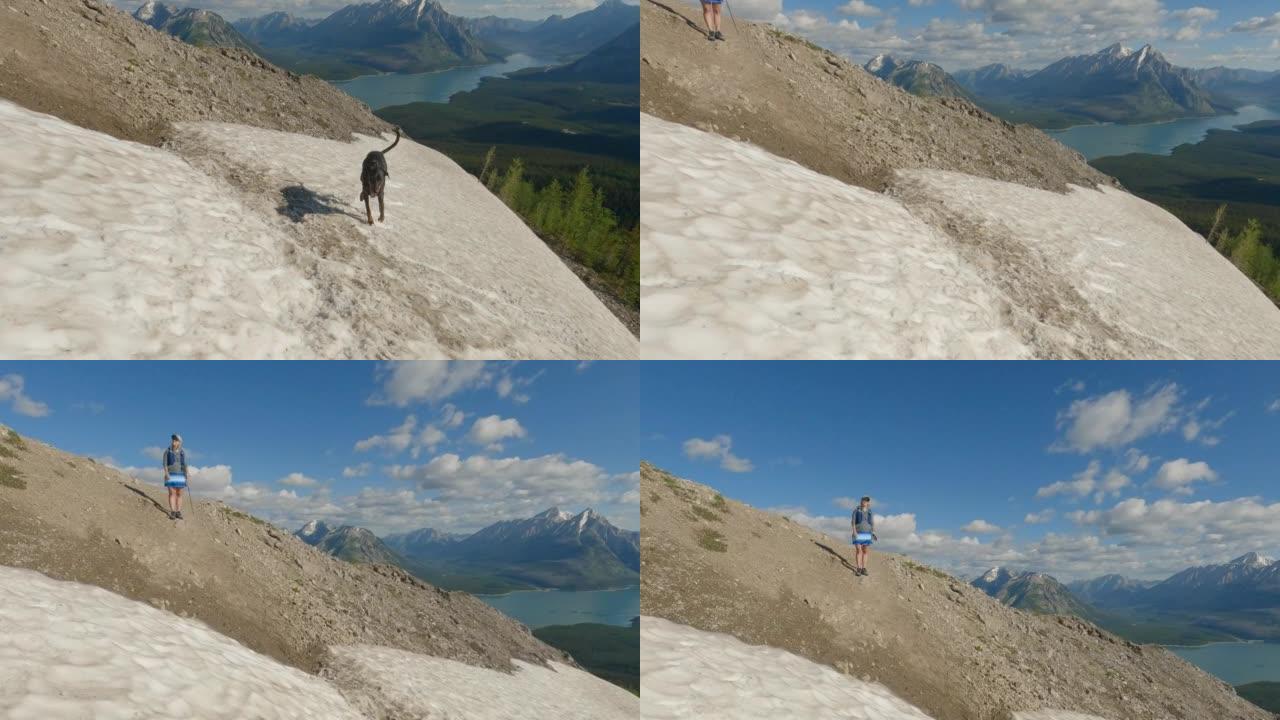 女徒步旅行者和宠物狗在山顶上享受时光