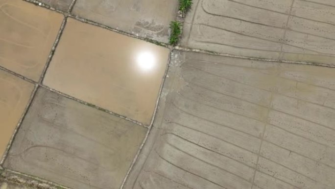 准备耕作的湿耕水田。农民犁耕平整土壤也有助于水田的水分分配。