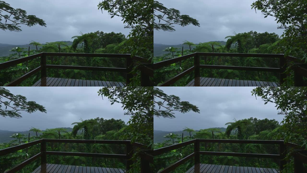波多黎各埃尔云克国家森林: 暴雨