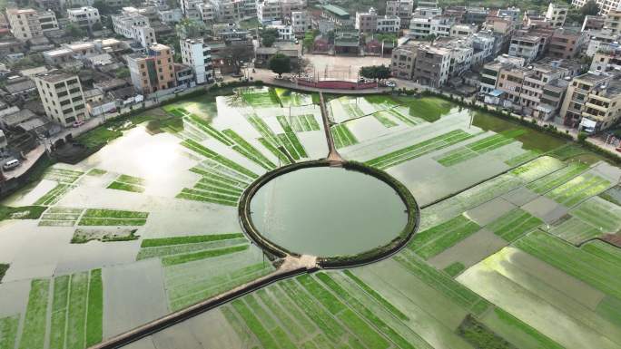 海口太极田航拍