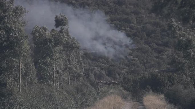 消防飞机和直升机扑灭了意大利托斯卡纳的野火