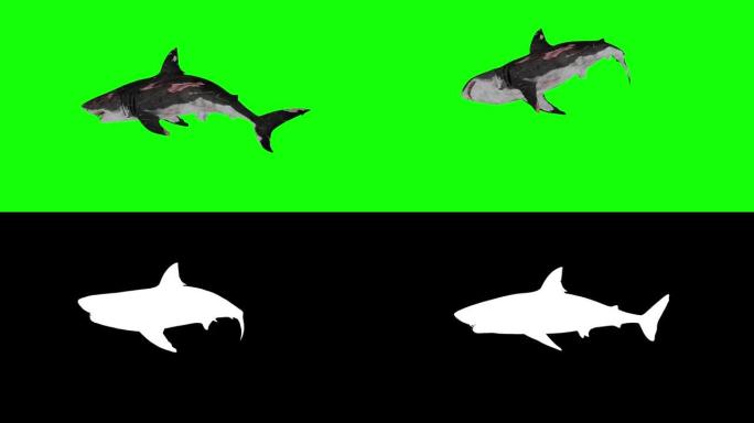 屏幕上有一条受伤的大白鲨。概念动物主题，鱼，野生动物，游戏，3d动画，短视频，电影，卡通，有机，色度