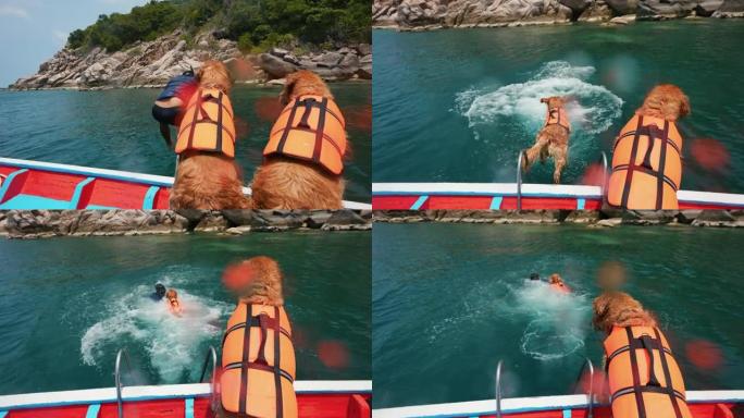 雄性宠物主人和他的狗从船上跳入海中