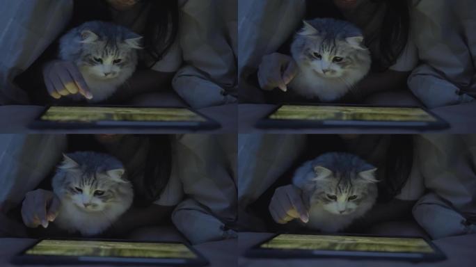 猫在床上看平板电脑