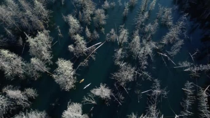空中无人机拍摄了两名皮划艇运动员在洪水泛滥的森林中划桨