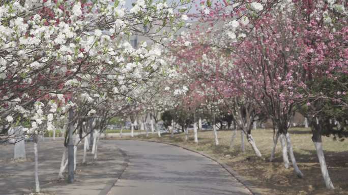 山东师范大学长清校区2