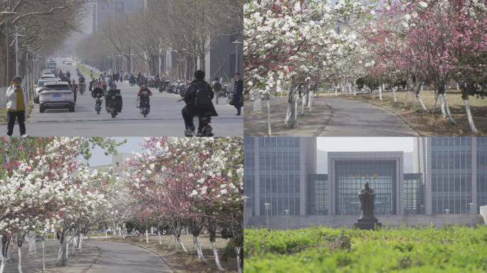 山东师范大学长清校区2