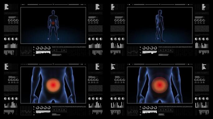 患有腰椎病变的人。男孩的3d身体。男性人体结构的旋转动画和特写。