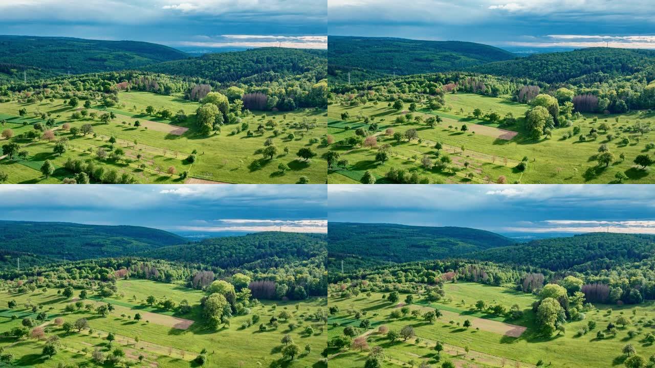 空中无人机拍摄树木繁茂的农田