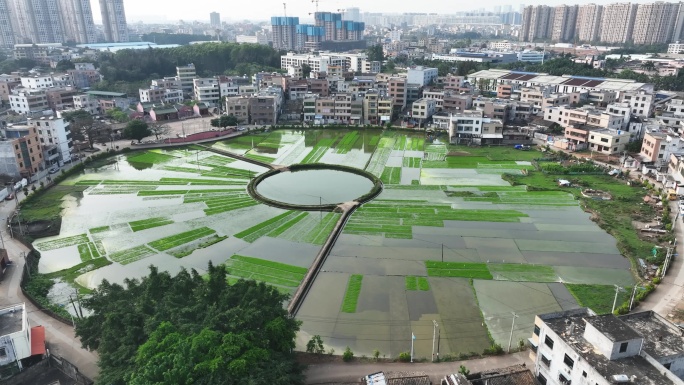 海口太极田航拍