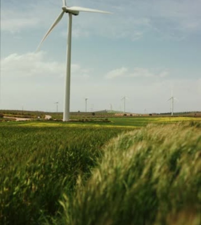 风力涡轮机: 可持续资源与未来