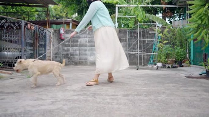 亚洲妇女带着狗在街道，村庄，房屋上散步