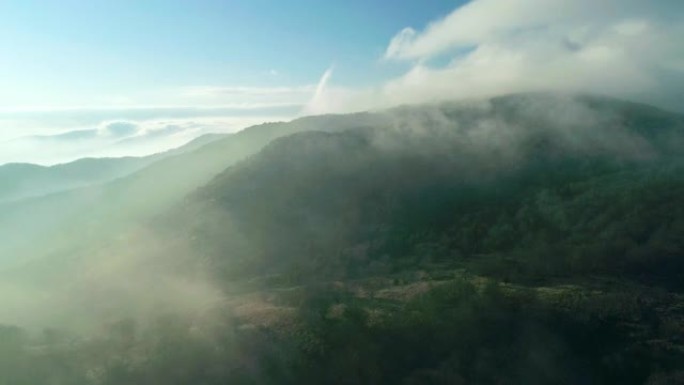 从山口滚滚的雾云的鸟瞰图