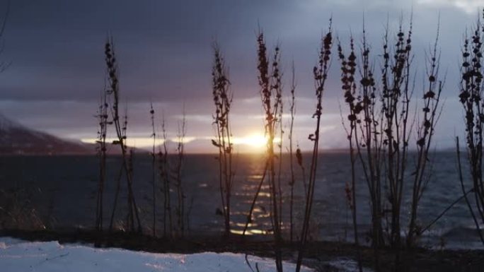 冬天特罗姆瑟海边的日落景色。积雪覆盖的山脉和杂草