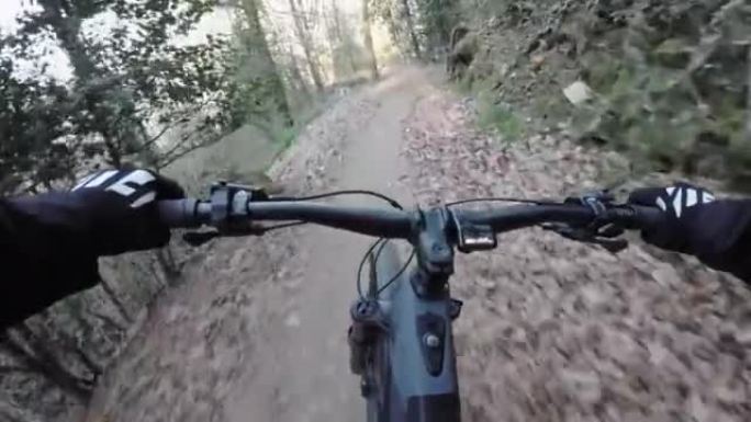 第一人称视角在森林的技术路线上骑山地自行车