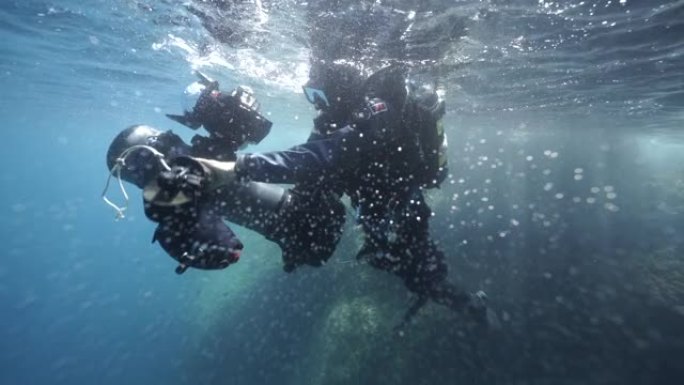 水下潜水员拍摄沿海海洋生物