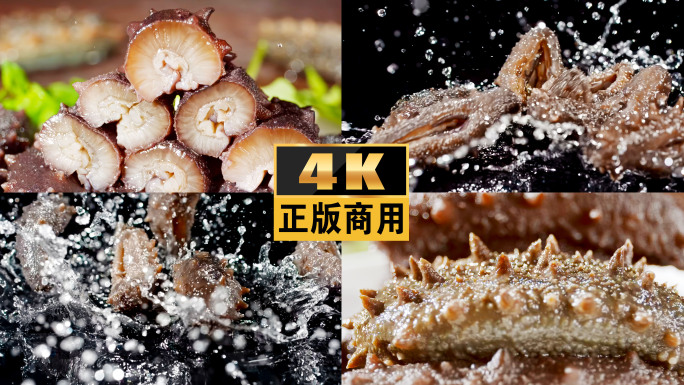 海参美食海鲜广告美食展示辽参海鲜美食海参