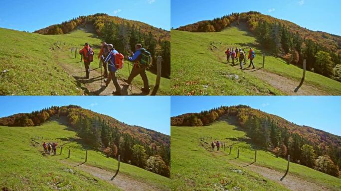 CS一群男性徒步旅行者沿着山区牧场在阳光明媚的小径上行走