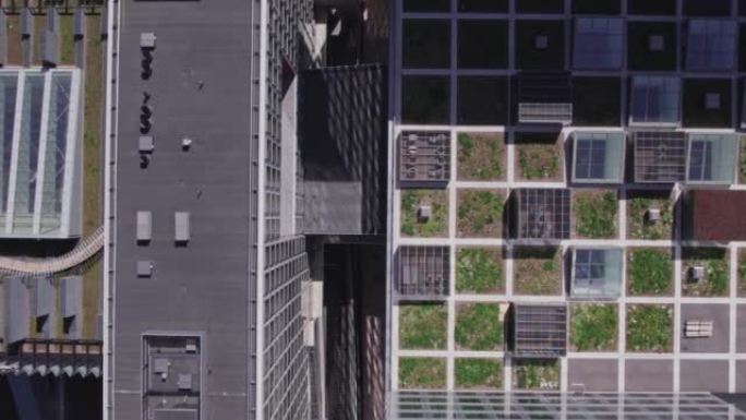 现代办公和酒店建筑的绿色屋顶视图