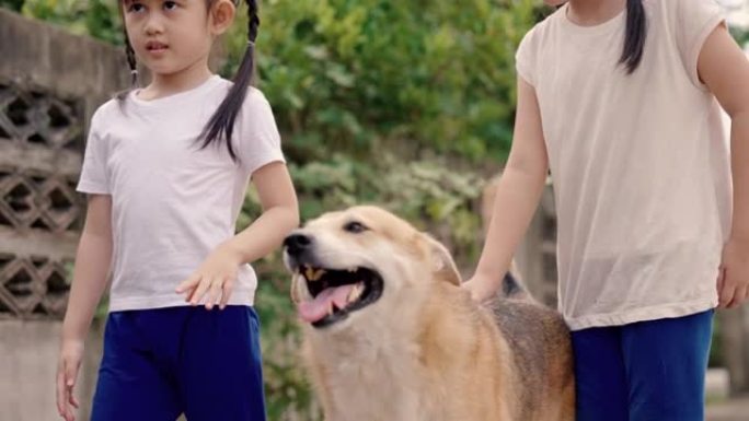 亚洲儿童生活方式周末与狗在院子里玩耍。
