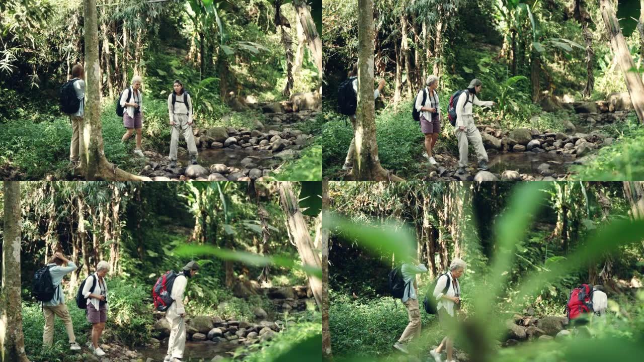 家庭旅行者在热带雨林徒步旅行。