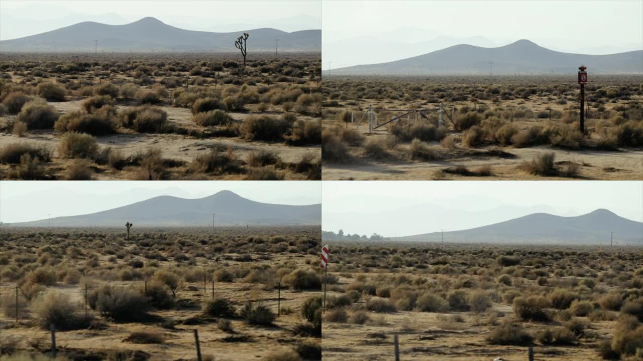 美国西南部的夏天: 约书亚树沙漠景观的汽车乘客视图