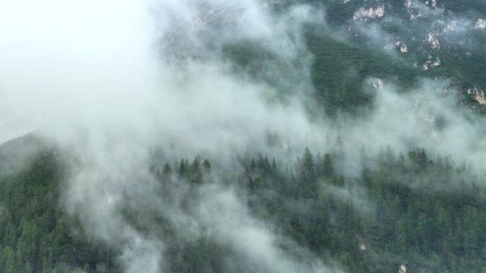 空中无人机拍摄了多洛米蒂与福雷斯，白云岩山脉，白云岩阿尔卑斯山或白云岩阿尔卑斯山的雾状松树树林，是位