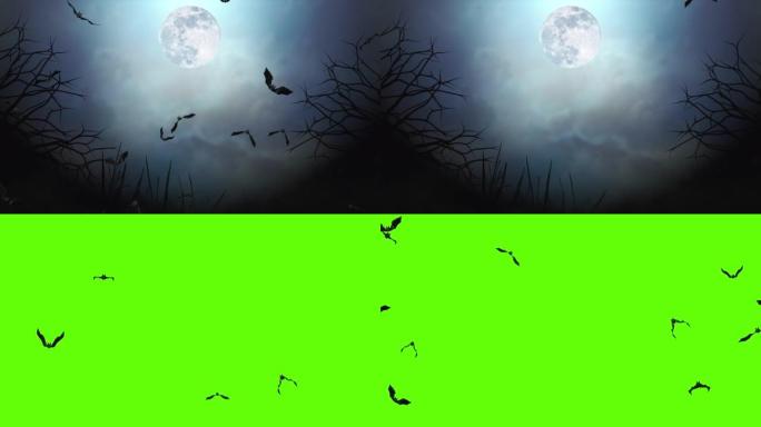 蝙蝠到处飞的循环动画蝙蝠群飞万圣节蝙蝠效果4k绿屏背景