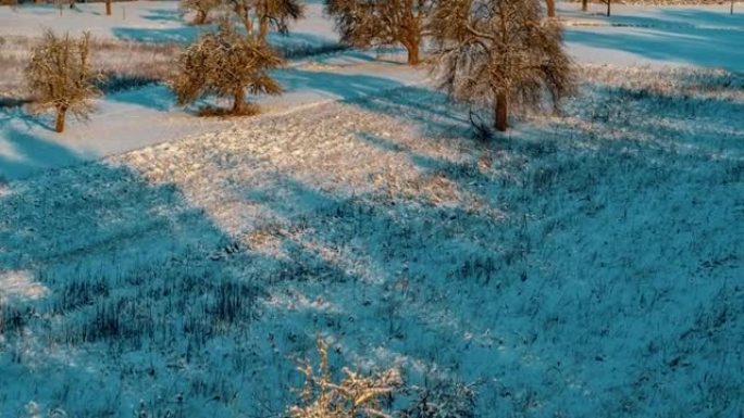 空中无人机拍摄积雪覆盖的林地