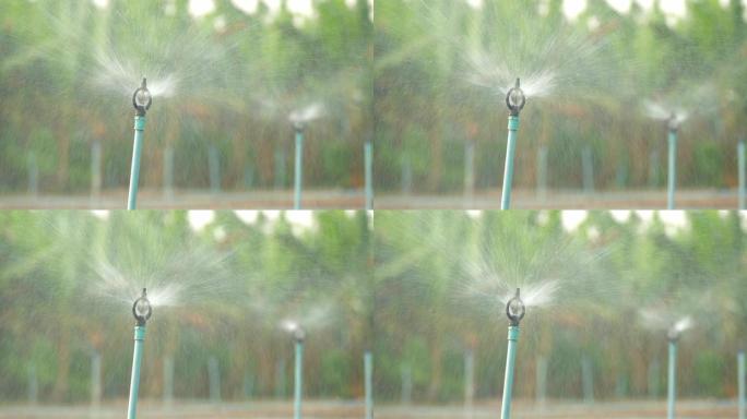 农业灌溉系统浇水自动喷淋设备自动灌溉设备