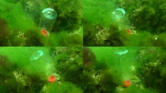海洋的塑料污染: 一个pvc瓶在海床的海浪中摇摇直下。