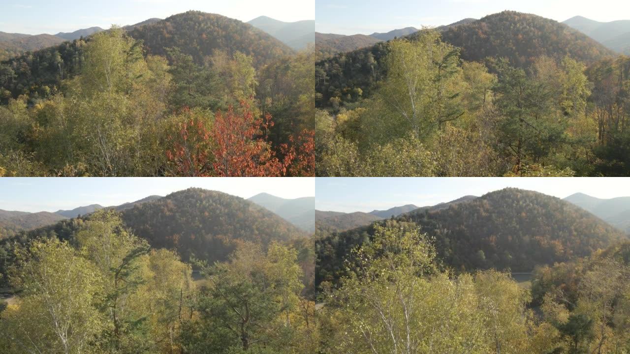 地中海景观、林地的空中风景