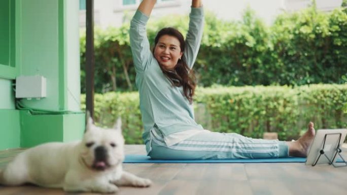 微笑的女人和可爱的法国斗牛犬一起享受瑜伽。