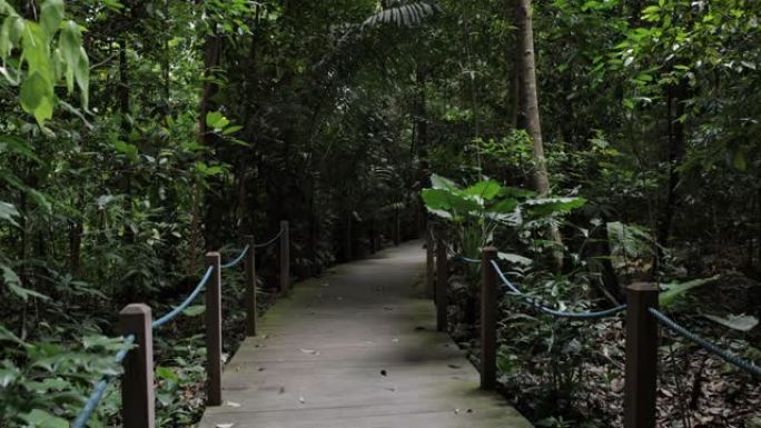 新加坡植物园，新加坡