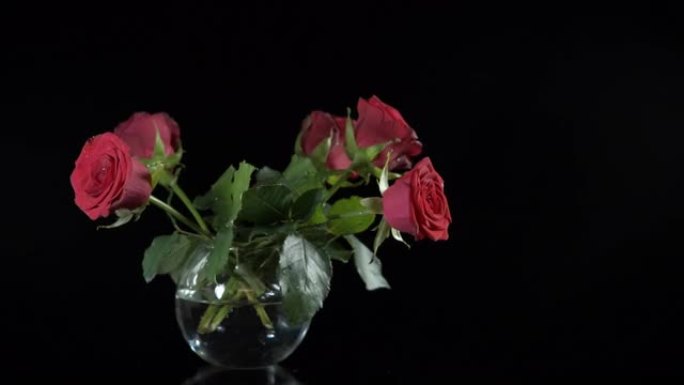 玻璃花瓶里的玫瑰。
