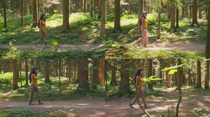 TS女人在阳光明媚的日子里徒步穿越森林