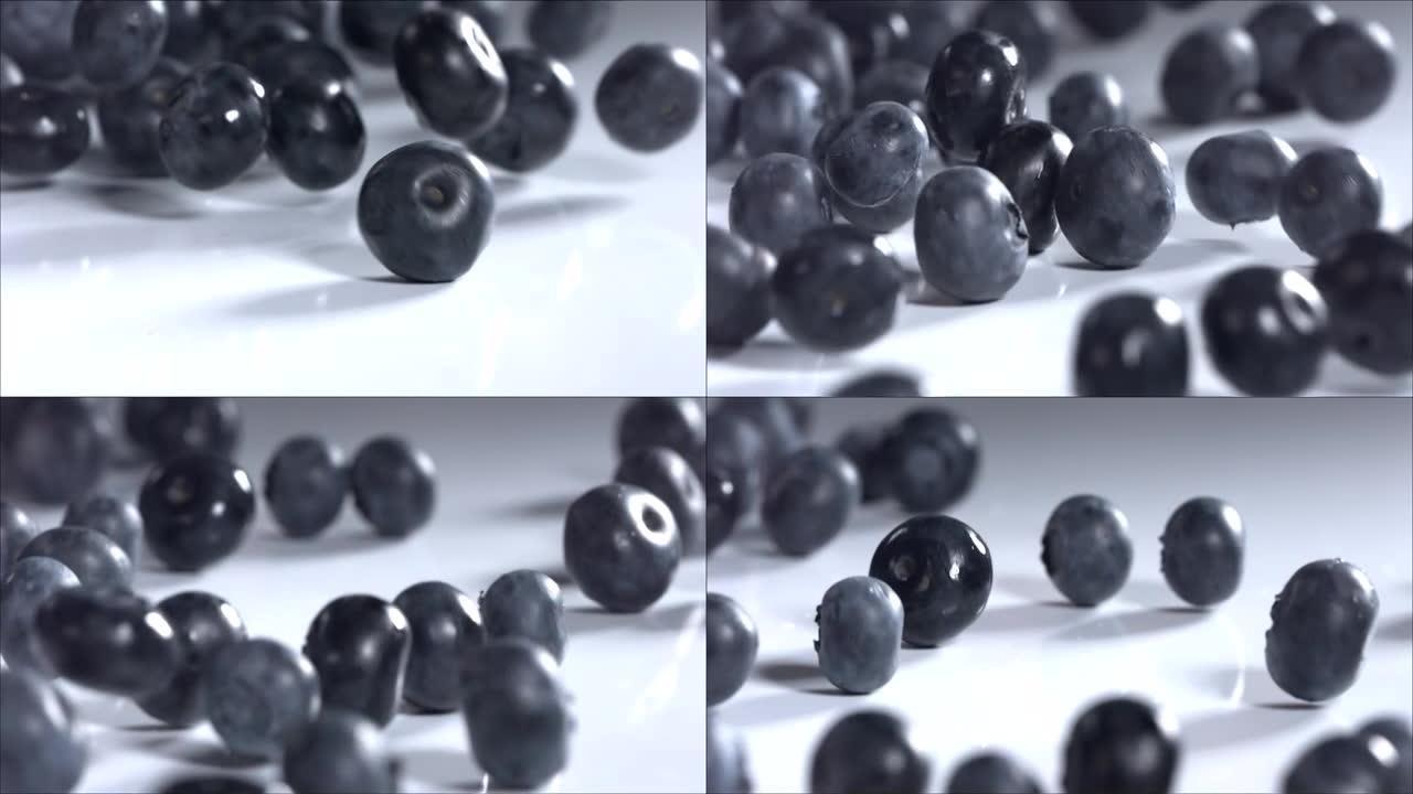 蓝莓在白色背景下滚动。慢动作