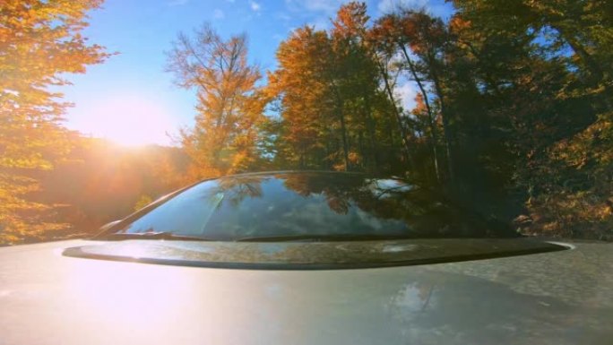 LD森林树木在汽车挡风玻璃上移动时会反射在森林中