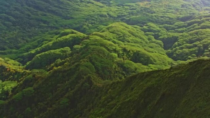 夏威夷瓦胡岛空中Ahupu'a O Kahana州立公园