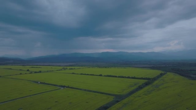 日落后绿色草地的空中无人机视图