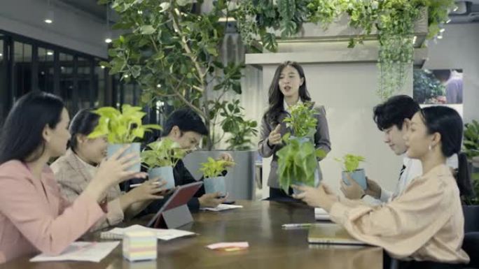 同事为显示盆栽植物的女商人鼓掌