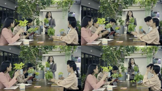 同事为显示盆栽植物的女商人鼓掌