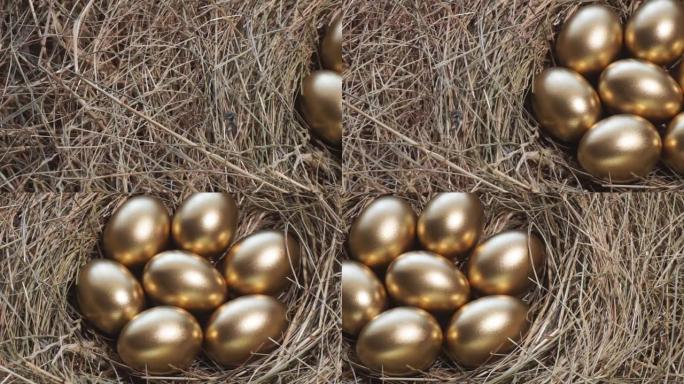 巢中的金蛋