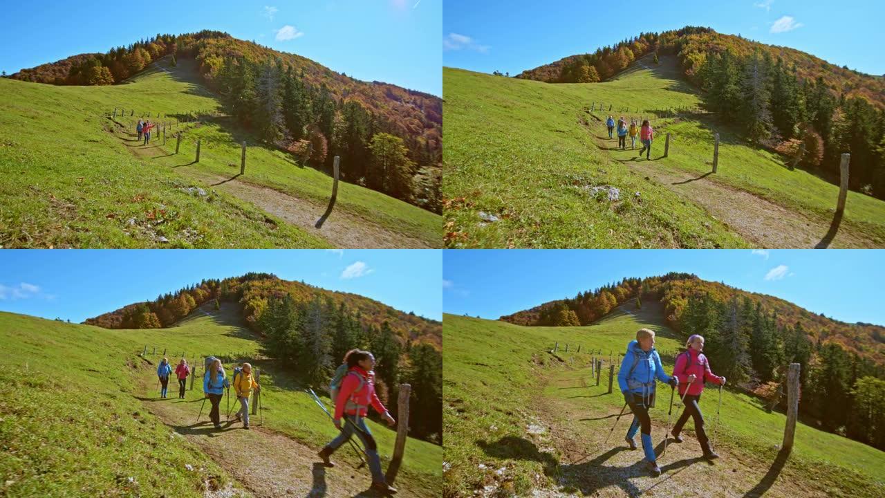 CS一群徒步旅行者沿着山区牧场在阳光明媚的小径上行走