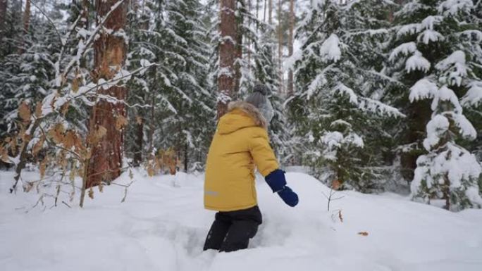 无忧无虑的小孩在冬季周末在森林里玩雪，快乐快乐的小孩