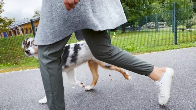 SLO MO TS年轻女子和她的狗在公园里蹦蹦跳跳地散步