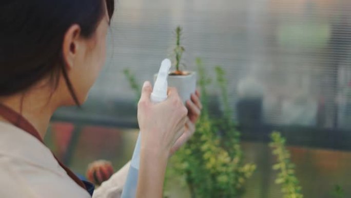 潮人文化: 开朗的女性在小植物上喷水